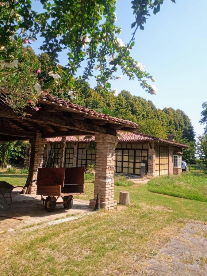 La Dama Con L'Ermellino B&B San Giovanni in Croce エクステリア 写真
